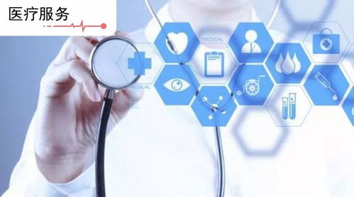 2016年互聯(lián)網(wǎng)醫(yī)療規(guī)模達(dá)223億元，進(jìn)入醫(yī)療資源擴(kuò)展比拼階段